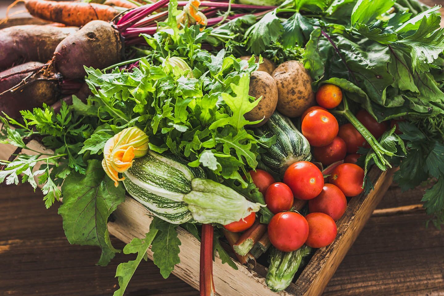 The Real Food Academy Tampa - The World of Hospitality